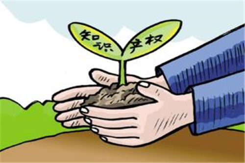 知識(shí)產(chǎn)權(quán)代理 福建專利申請(qǐng)實(shí)力的關(guān)鍵支撐