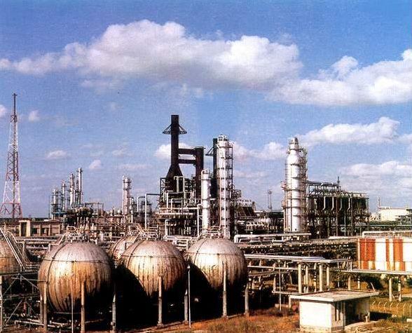 建國后最大間諜案:廣州機場截獲2只老鼠,體內(nèi)藏絕密情報?